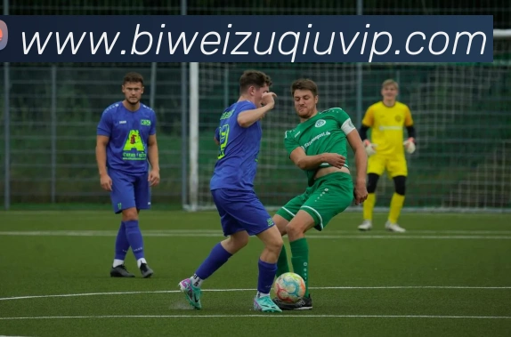 必威体育APP 封面图